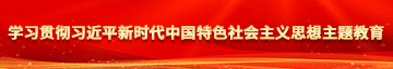 大鸡操黑毛B在线视频学习贯彻习近平新时代中国特色社会主义思想主题教育